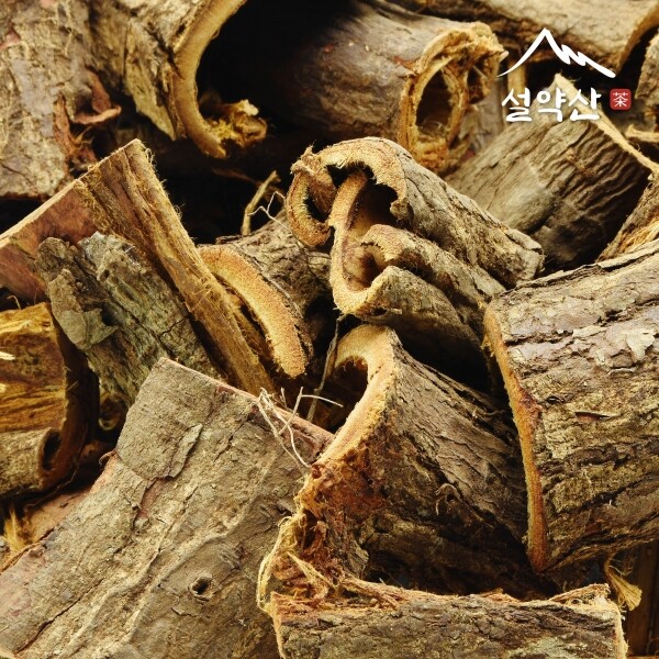 설약산 국내산 유근피 왕느릅나무 뿌리껍질 600g 강원도 사회적경제 마을기업 | 치유의 숲 설약산 | 